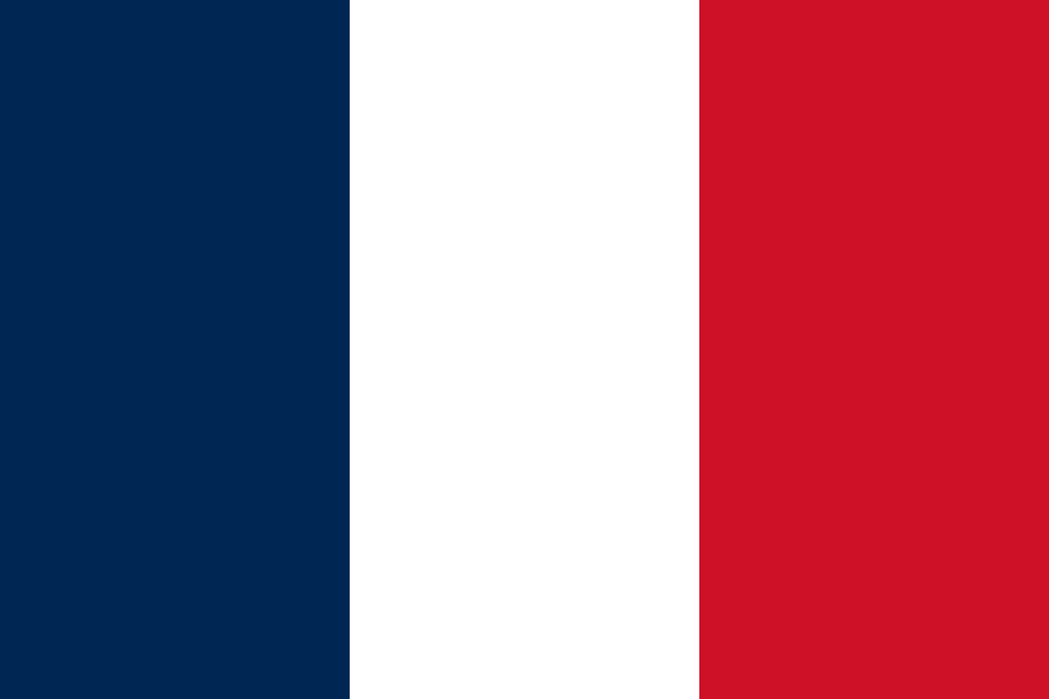 Nearly 800 arrested in France following PSG's Champions League final victory