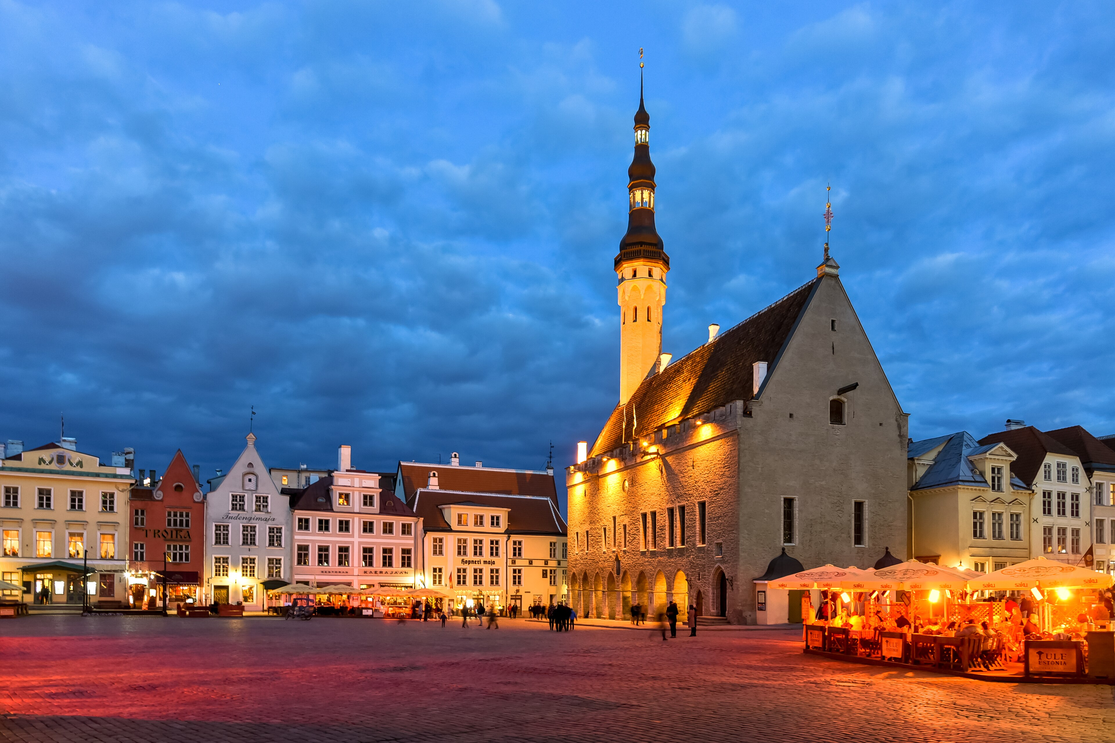 Concrete wolf installation wins art contest for Tallinn security academy