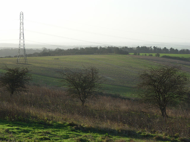 Briti amatöörräppar saab 10 aastat vangistust XL bully koera eest