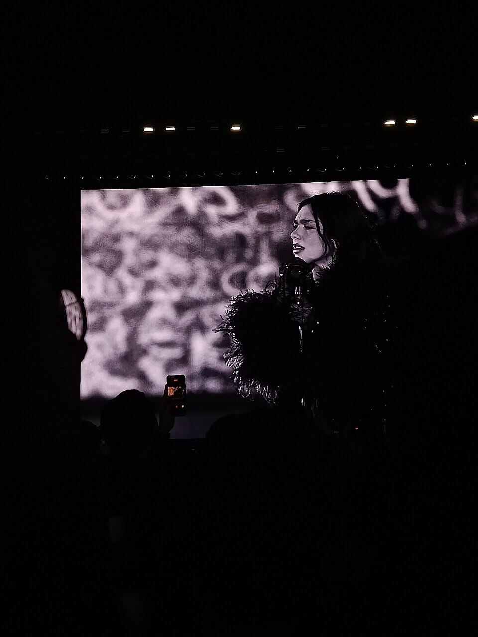 Поп-звезда Dua Lipa тайно вышла замуж в Лондоне