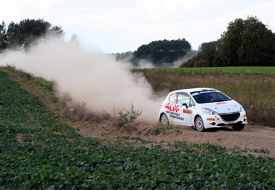 Linnamäe rallikarjäär peatumiseni? "Elu pakub rohkemat"