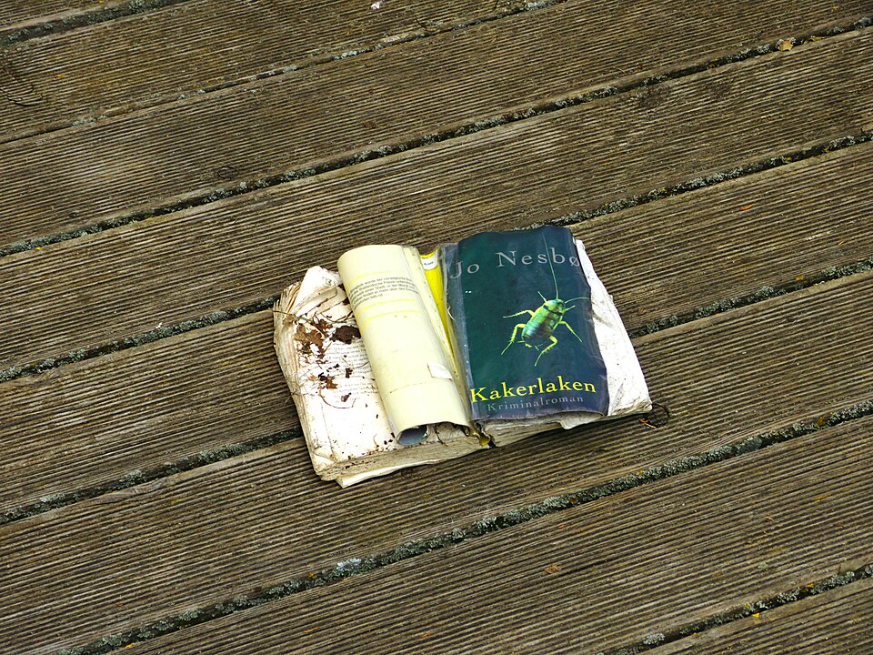 Norra kirjanik Jo Nesbø avaldab intiimsed detailid intervjuus