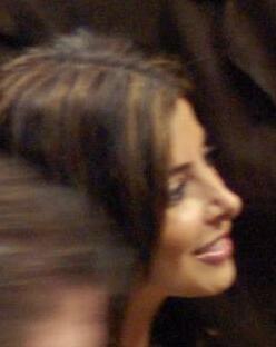 Kolm meest püüdis murda kuulsuse koju, aga alarm ehmatas nad minema