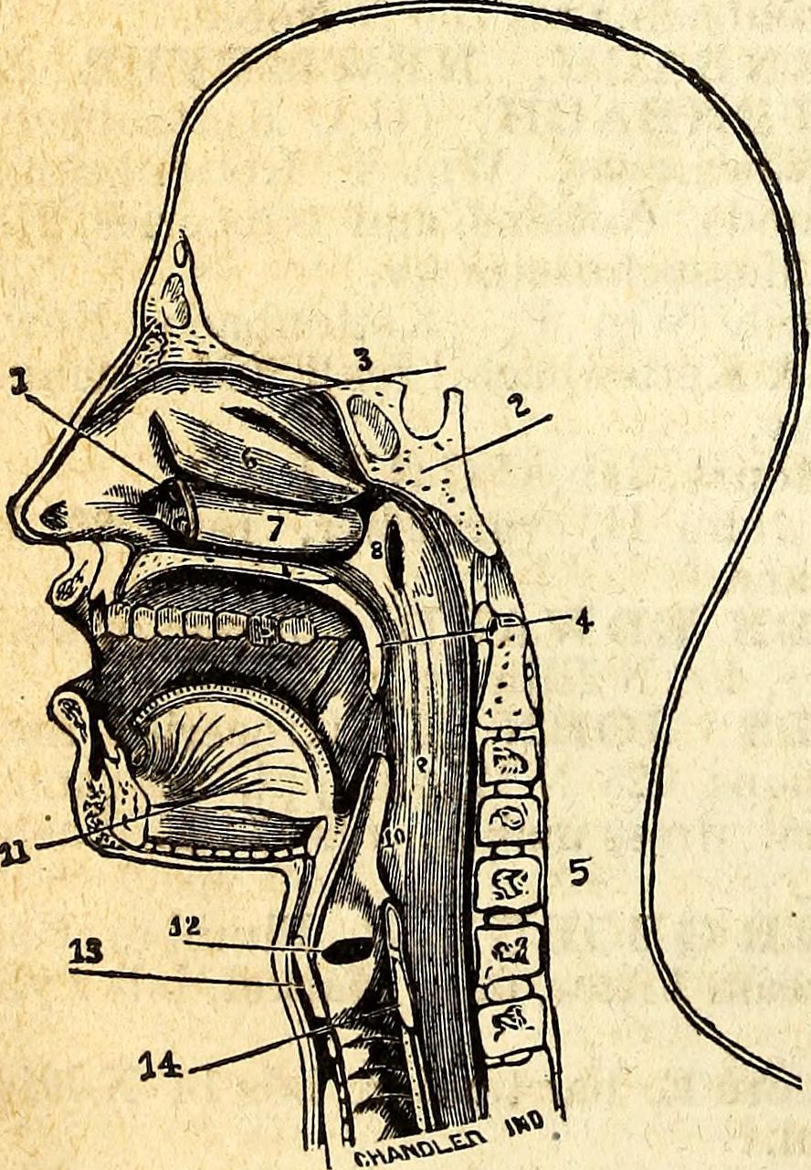 Riigikogu valimisteni jääb vähem kui aasta - mis on erakondade toetuslagi?